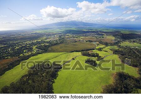 Stock Image - Hawaii. USA, aerial view; Maui, Scenic landscape of meadows of Haleakala Ranch and West Maui Mountains. Fotosearch