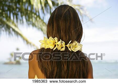 Hawaii, View From Behind Of A Local Girl Wearing A Yellow Plumeria Lei. View Large Photo Image Stock Image - Hawaii, View From Behind Of A Local Girl Wearing A Yellow Plumeria Lei.. Fotosearch