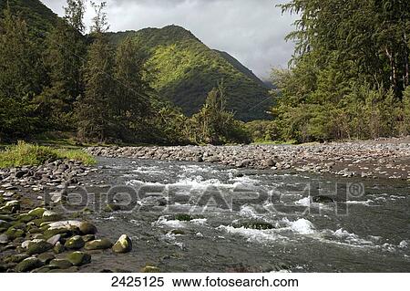 Stock Photography - Hawaii, Waipio Valley Stream near the Hamakua coast of the Big Island.. Fotosearch