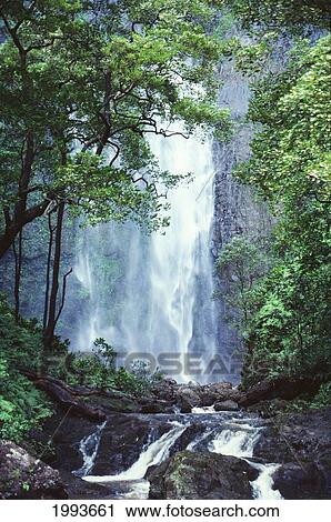 Stock Image - Hawaii, Waterfalls Cascading Down Rocky Cliff, Trees Overlook Stream In Foreground.. Fotosearch