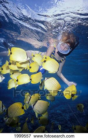 Hawaii, Young Girl Snorkels At Surface Feeding Lemon Butterflyfish View Large Photo Image Stock Photo - Hawaii, Young Girl Snorkels At Surface Feeding Lemon Butterflyfish. Fotosearch