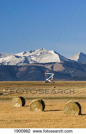 Hay Bales And An Oil Pump In A Field With Mountains In The Distance In Southern Alberta; Pincher Creek, Alberta, Canada View Large Photo Image Stock Image - Hay Bales And An Oil Pump In A Field With Mountains In The Distance In Southern Alberta; Pincher Creek, Alberta, Canada. Fotosearch