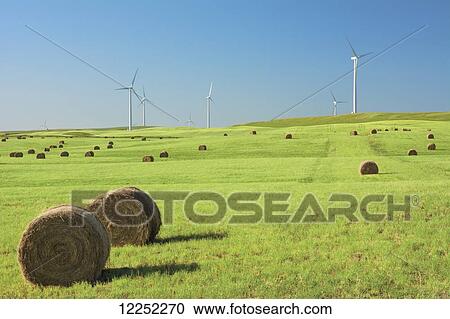 Stock Image - Hay bales in a green field with wind turbines against a blue sky; Alberta, Canada. Fotosearch