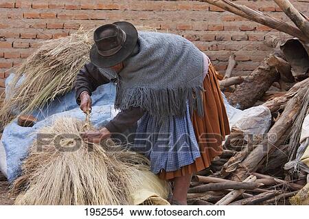 Hay vendor, Sucre, Chuquisaca Department, Bolivia View Large Photo Image Picture - Hay vendor, Sucre, Chuquisaca Department, Bolivia. Fotosearch