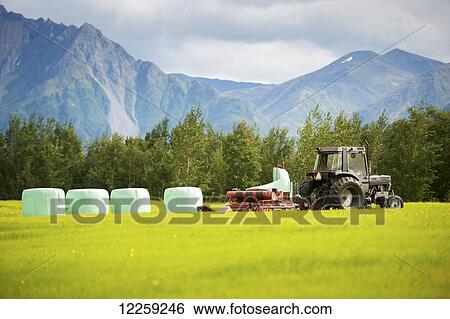Stock Photograph - Haylage on a farm; Palmer, Alaska, United States of America. Fotosearch