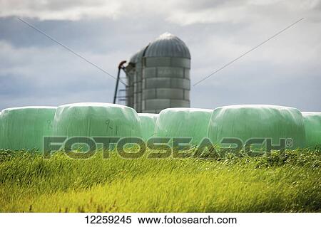 Stock Photography - Haylage on a farm; Palmer, Alaska, United States of America. Fotosearch