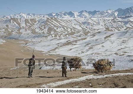 Hazara Farmers & Donkeys Laden With Brushwood Along The Shahidan Pass In Winter, Bamian Province, Afghanistan View Large Photo Image Picture - Hazara Farmers & Donkeys Laden With Brushwood Along The Shahidan Pass In Winter, Bamian Province, Afghanistan. Fotosearch