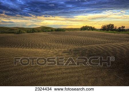 Picture - HDR image of the Great Sandhills at sunset; Saskatchewan, Canada. Fotosearch