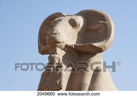 Head Of A Criosphinx In The Avenue Of The Criosphinxes (Ram-Headed Sphinxes) Of The Great Temple Of Amun In The Karnak Temple Complex, Luxor, Qina, Egypt View Large Photo Image Stock Image - Head Of A Criosphinx In The Avenue Of The Criosphinxes (Ram-Headed Sphinxes) Of The Great Temple Of Amun In The Karnak Temple Complex, Luxor, Qina, Egypt. Fotosearch
