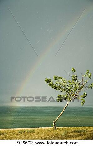 Stock Image - Heavy Rain Storm On Beach. Fotosearch