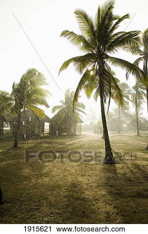 Heavy Rainstorm On Beach With Sunshine View Large Photo Image Stock Image - Heavy Rainstorm On Beach With Sunshine. Fotosearch