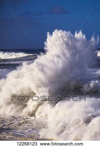 Stock Image - Heavy surf breaks at Shore Acres State Park; Charleston, Oregon, United States of America. Fotosearch