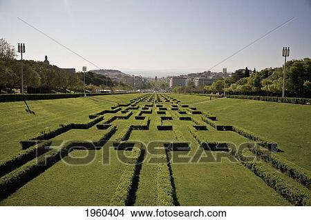 Picture - Hedges Cut In A Pattern In Eduardo Vii Park; Lisbon, Portugal. Fotosearch
