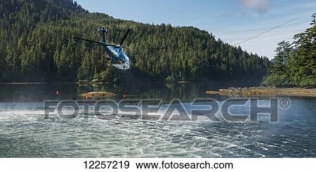 Helicopter flying over water; Queen Charlotte Islands, British Columbia, Canada View Large Photo Image Stock Photo - Helicopter flying over water; Queen Charlotte Islands, British Columbia, Canada. Fotosearch