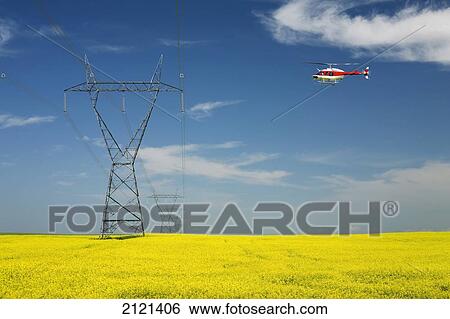 Stock Photograph - Helicopter Hovering Over A Large Metal Electric Tower And Lines With A Flowering Canola Field Blue Sky And Clouds East Of High River; Alberta Canada. Fotosearch