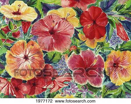 Hibiscus Impressions, Floral Arrangement With Hibiscus Blossoms (Mixed Media: Watercolor And Pastel). View Large Photo Image Stock Image - Hibiscus Impressions, Floral Arrangement With Hibiscus Blossoms (Mixed Media: Watercolor And Pastel).. Fotosearch