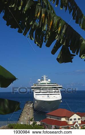 Picture - High Angle View Of Cruise Ship Terminal Through Palm Frawns, St George's; Grenada. Caribbean.. Fotosearch