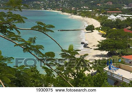 High Angle View Of Grand Anse Beach With Palm Trees; Carriacou Island, Grenada View Large Photo Image Stock Photography - High Angle View Of Grand Anse Beach With Palm Trees; Carriacou Island, Grenada. Fotosearch