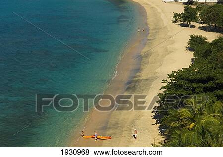 High Angle View Of Kayakers On Magazine Beach; Grenada, Caribbean View Large Photo Image Stock Photo - High Angle View Of Kayakers On Magazine Beach; Grenada, Caribbean. Fotosearch