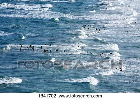 Stock Image - High Angle View Of People Swimming In Sea; Cocoa Beach, Florida, Usa. Fotosearch