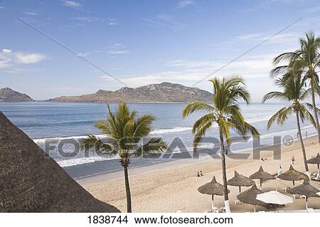 High Angle View Of Sandy Beach With Palm Trees; Mazatlan, Sinaloa State, Mexico View Large Photo Image Picture - High Angle View Of Sandy Beach With Palm Trees; Mazatlan, Sinaloa State, Mexico. Fotosearch