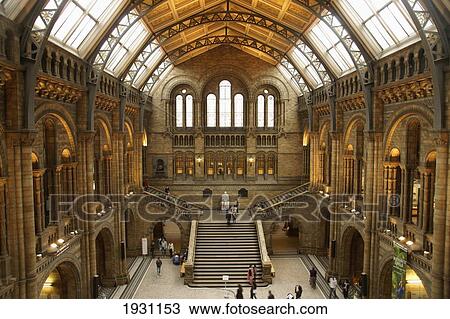 Stock Image - High angle view of the interior of the Natural History Museum, Kensington, London, England, UK., Kensington, London, England, UK.. Fotosearch