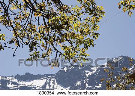 High Atlas Mountains View Large Photo Image Picture - High Atlas Mountains. Fotosearch