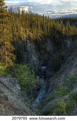 High Creek Near Atlin, Bc Runs Through A Deep Canyon. View Large Photo Image Stock Image - High Creek Near Atlin, Bc Runs Through A Deep Canyon.. Fotosearch