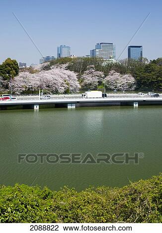 Stock Image - High-Rise Buildings With Cherry Trees And Highway Along A River; Tokyo, Japan. Fotosearch