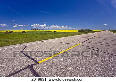 Stock Image - Highway And Canola Fields, Near Riding Mountain National Park, Western Manitoba. Fotosearch