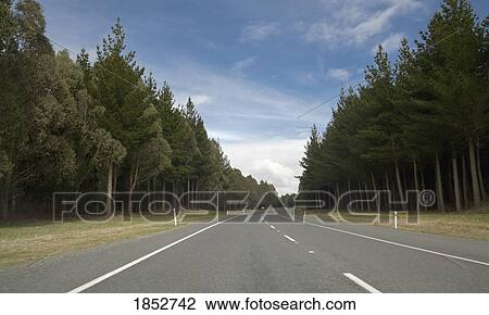 Stock Image - Highway, Taupo, New Zealand. Fotosearch