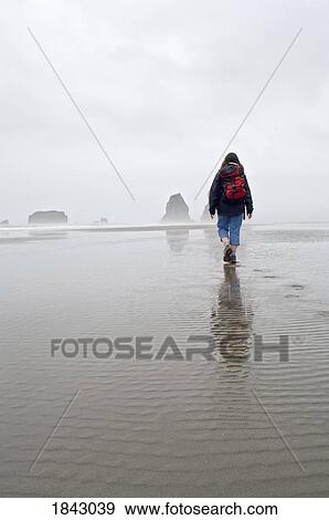 Stock Photo - Hiker At Second Beach In Olympic National Park; Washington State, Usa. Fotosearch