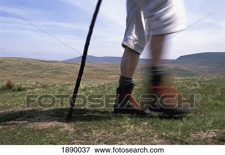 Hiker, Close Up View Large Photo Image Stock Photo - Hiker, Close Up. Fotosearch