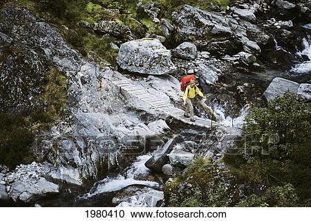Hiker crossing bridge along Milford Track in Fiordlands National Park; New Zealand View Large Photo Image Stock Image - Hiker crossing bridge along Milford Track in Fiordlands National Park; New Zealand. Fotosearch