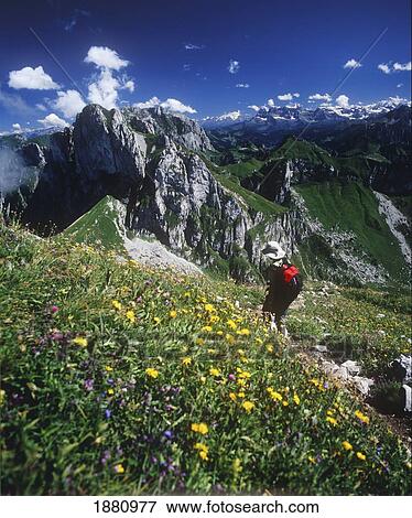 Hiker In French Alps View Large Photo Image Stock Photo - Hiker In French Alps. Fotosearch