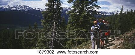Hiker In Larch Valley View Large Photo Image Stock Image - Hiker In Larch Valley. Fotosearch