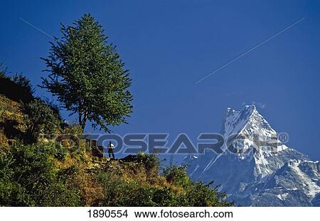 Hiker Looking At Annapurna Region View Large Photo Image Picture - Hiker Looking At Annapurna Region. Fotosearch