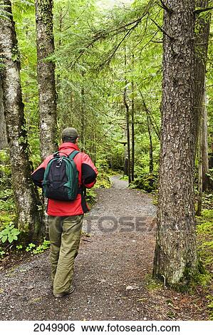 Stock Photograph - Hiker On A Trail To Vetter Falls, Nisga'a Provincial Park, British Columbia. Fotosearch