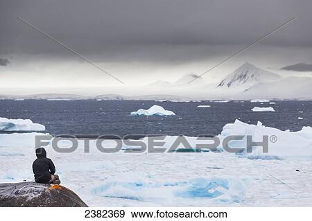 Hiker pauses for reflection on Booth Island, Western Antarctic peninsula; Antarctica View Large Photo Image Stock Photo - Hiker pauses for reflection on Booth Island, Western Antarctic peninsula; Antarctica. Fotosearch
