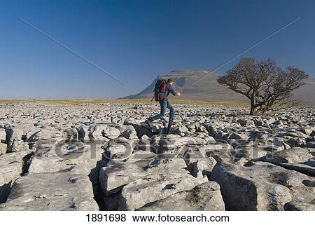 Stock Photo - Hiker Walking Across Limestone Pavement. Fotosearch