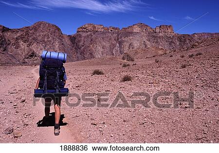 Hiker Walking In Desert Trail In Fish River Canyon View Large Photo Image Stock Photograph - Hiker Walking In Desert Trail In Fish River Canyon. Fotosearch