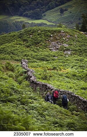 Hikers Among Bracken And Dry Stone Walls Of Western Lake District; Cumbria, England, Uk View Large Photo Image Stock Photo - Hikers Among Bracken And Dry Stone Walls Of Western Lake District; Cumbria, England, Uk. Fotosearch