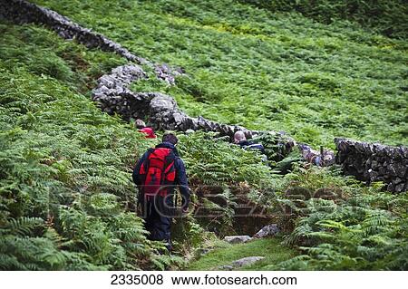 Hikers Among Bracken And Dry Stone Walls Of Western Lake District; Cumbria, England, Uk View Large Photo Image Stock Photo - Hikers Among Bracken And Dry Stone Walls Of Western Lake District; Cumbria, England, Uk. Fotosearch