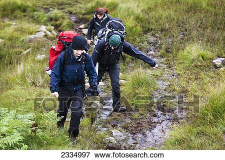 Hikers Among Hills Of Western Lake District; Cumbria, England, Uk View Large Photo Image Stock Photo - Hikers Among Hills Of Western Lake District; Cumbria, England, Uk. Fotosearch