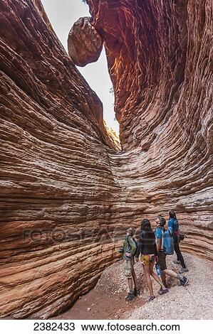 Hikers canyoneer in Blacktail Canyon, Grand Canyon National Park; Arizona, United States of America View Large Photo Image Stock Image - Hikers canyoneer in Blacktail Canyon, Grand Canyon National Park; Arizona, United States of America. Fotosearch