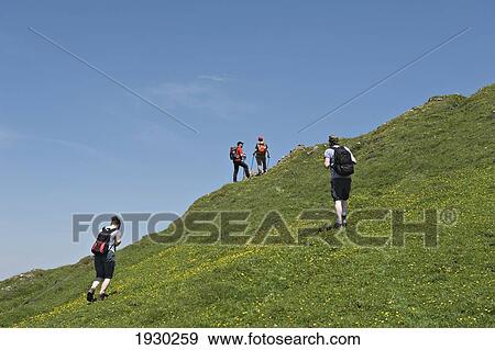 Stock Photo - Hikers climbing to the summit of Karstein. Kitzbuehel, Tyrol, Austria.. Fotosearch