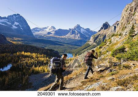 Stock Image - Hikers In The Opabin Plateau With Lake O'hara In The Background, Yoho National Park, British Columbia. Fotosearch