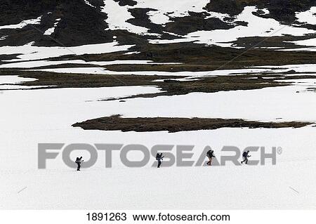 Hikers On Kungsleden Trail In Snow, Elevated View View Large Photo Image Stock Image - Hikers On Kungsleden Trail In Snow, Elevated View. Fotosearch