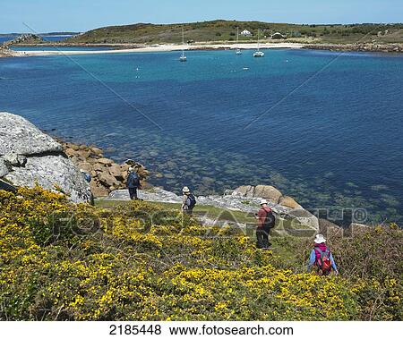 Hikers On The Coastal Path Around St Agnes With The Island Of Gugh And The Sand Bar In The Distance, Isles Of Scilly, Cornwall, Uk, Europe View Large Photo Image Stock Photo - Hikers On The Coastal Path Around St Agnes With The Island Of Gugh And The Sand Bar In The Distance, Isles Of Scilly, Cornwall, Uk, Europe. Fotosearch