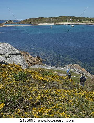 Stock Photography - Hikers On The Coastal Path Around St Agnes With The Island Of Gugh And The Sand Bar In The Distance, Isles Of Scilly, Cornwall, Uk, Europe. Fotosearch